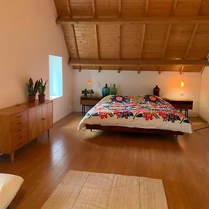 https://tanti-baci.valkenburgaandegeul-hotels.com